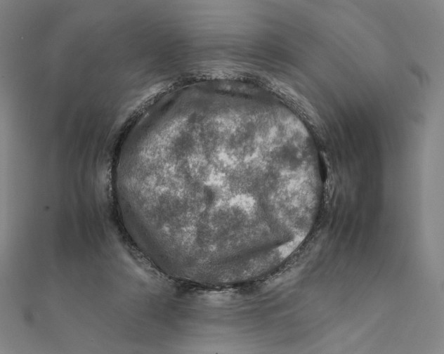 X0000112010306200908311139