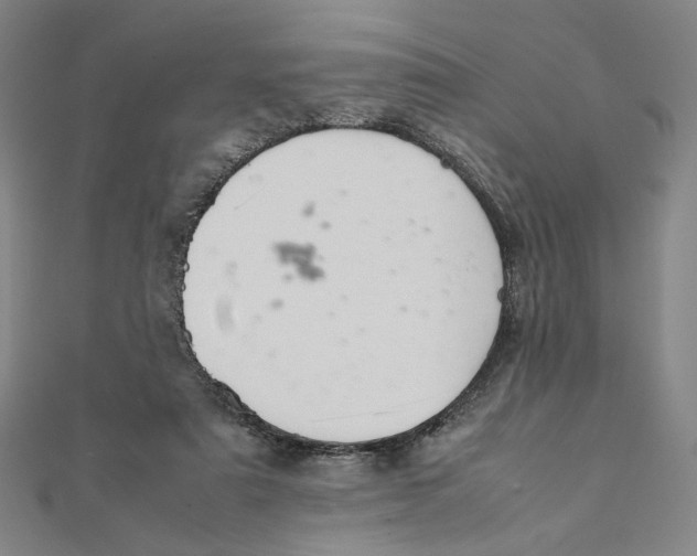 X0000112010307200908311139