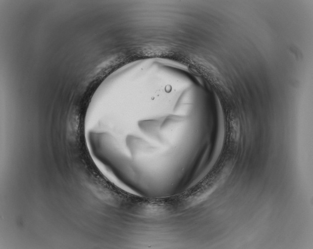 X0000112010308200908311139