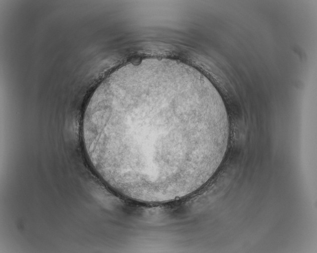 X0000112010309200908311139