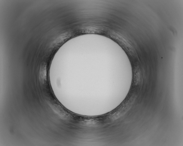 X0000112010310200908311139