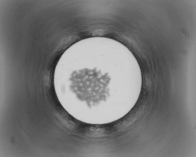 X0000112010311200908311139