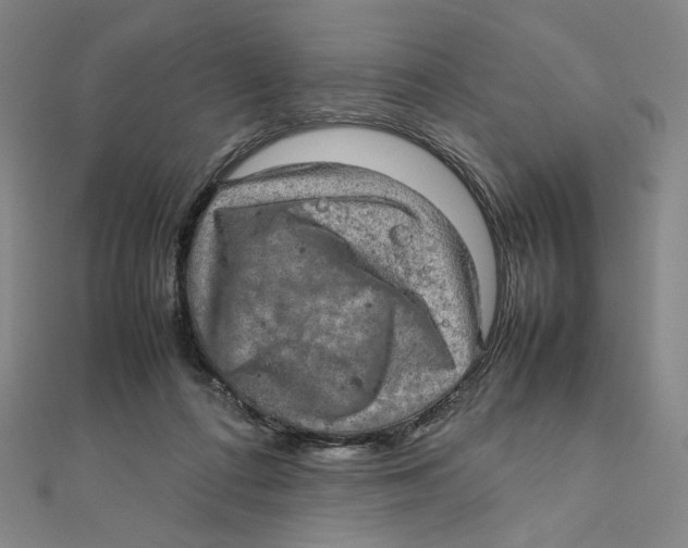 X0000112010312200908311139