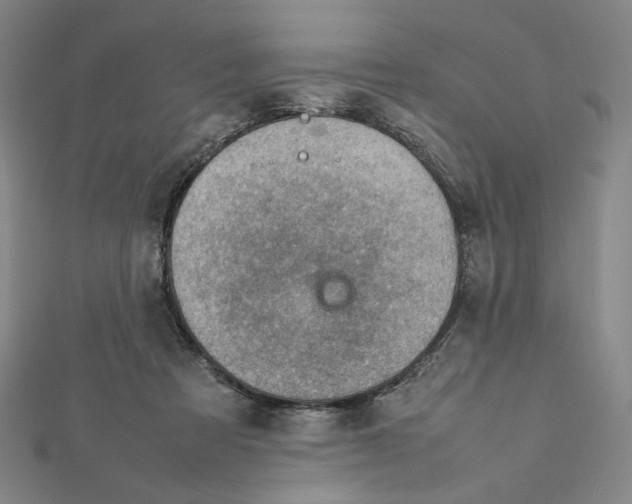X0000112010313200908311139