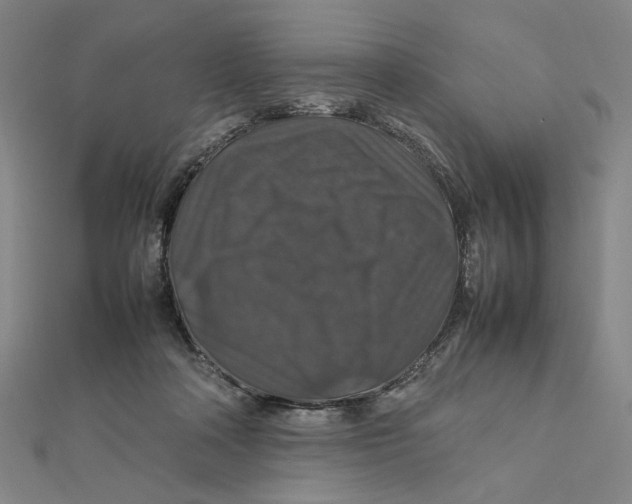 X0000112010314200908311139