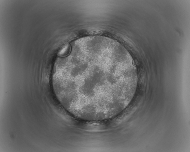X0000112010315200908311139