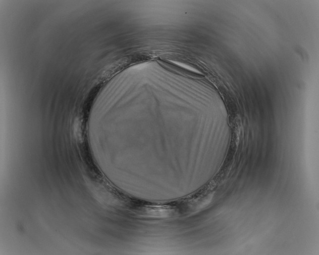 X0000112010316200908311139
