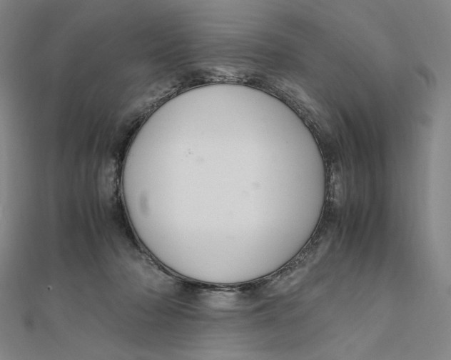 X0000112010318200908311139