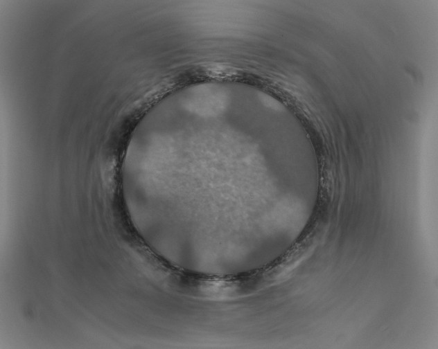 X0000112010319200908311139