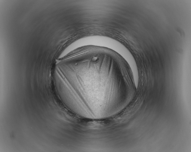 X0000112010320200908311139