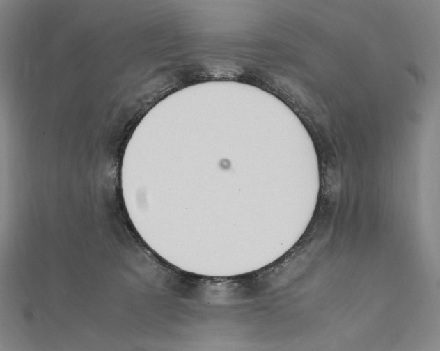 X0000112010321200908311139