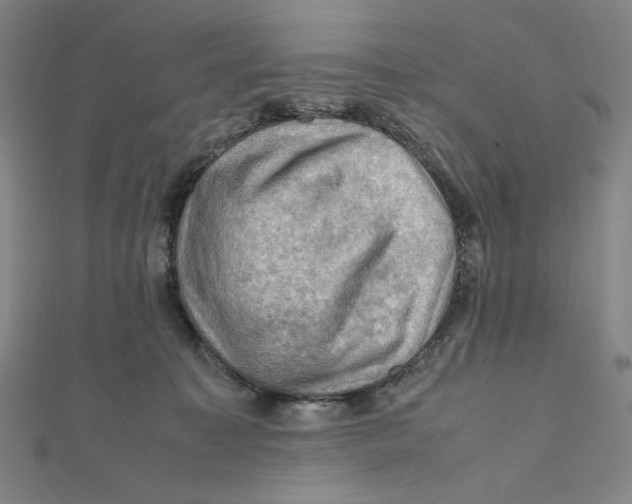 X0000112010323200908311139