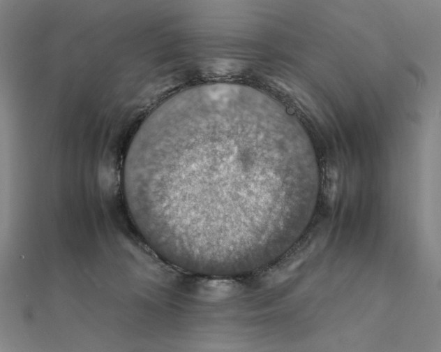 X0000112010324200908311139