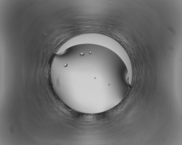 X0000112010325200908311139