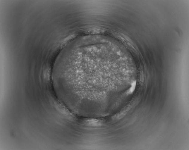 X0000112010326200908311139