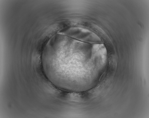 X0000112010327200908311139