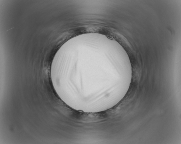 X0000112010329200908311139