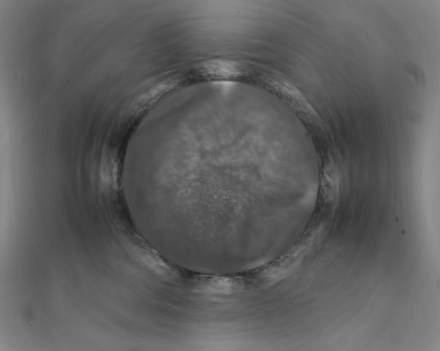 X0000112010330200908311139