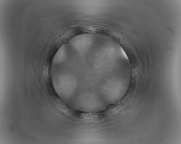 X0000112010331200908311139