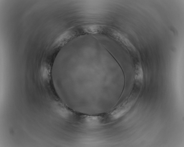 X0000112010332200908311139