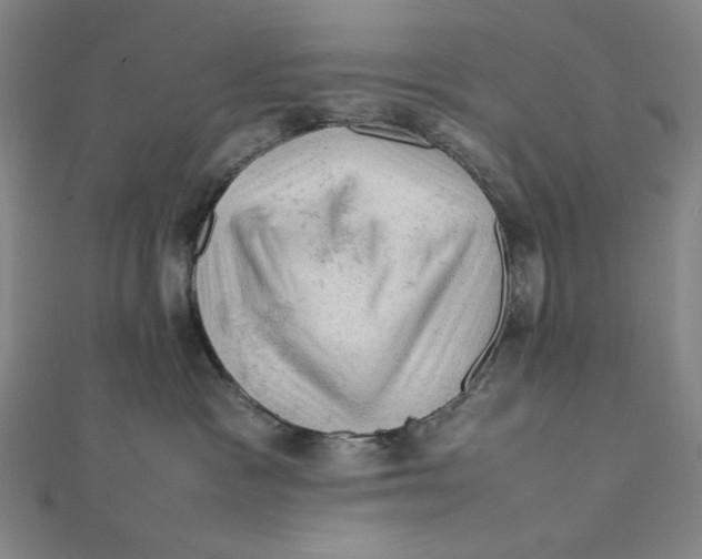 X0000112010333200908311139