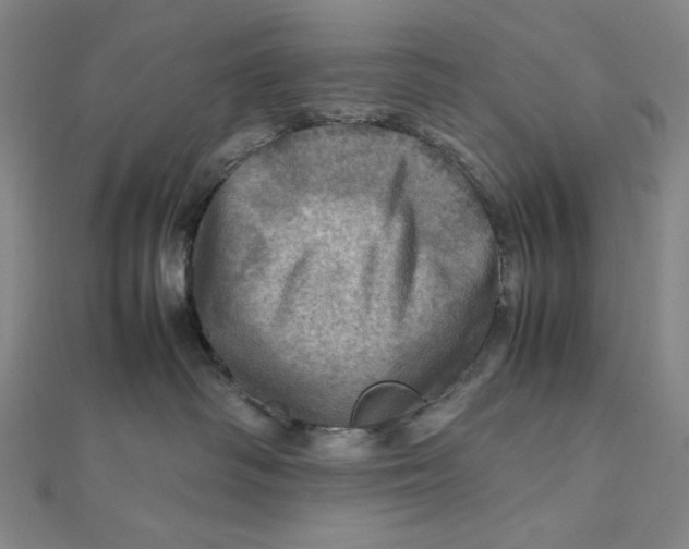 X0000112010334200908311139