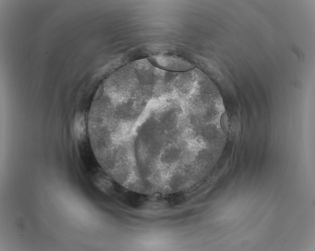 X0000112010335200908311139