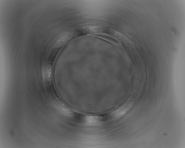 X0000112010336200908311139