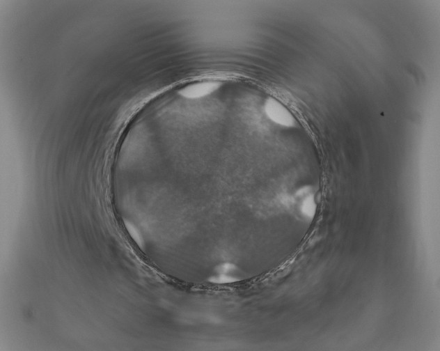 X0000112010337200908311138