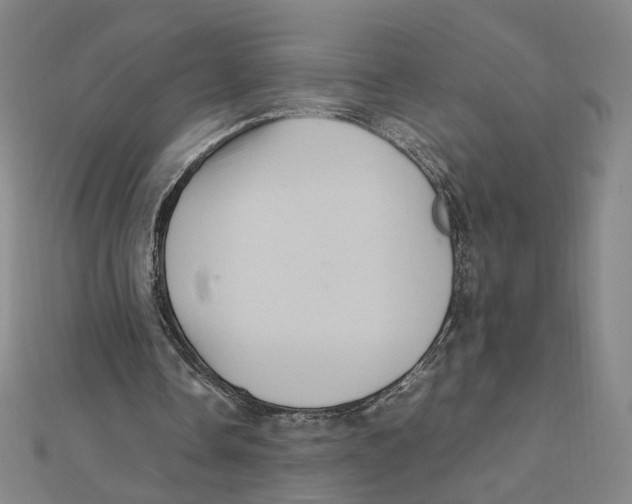X0000112010338200908311138