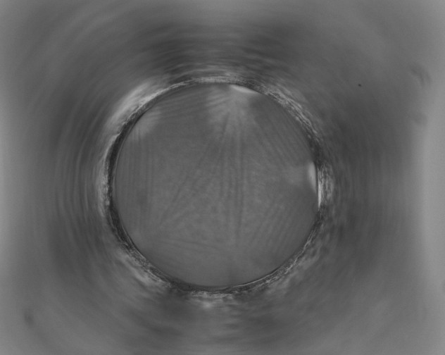 X0000112010339200908311138