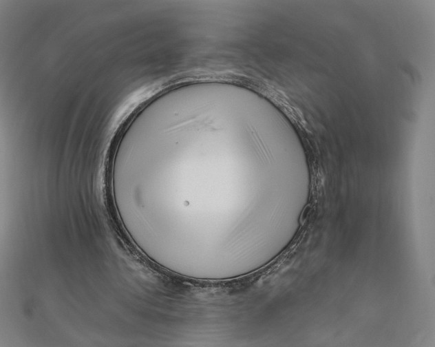 X0000112010340200908311138
