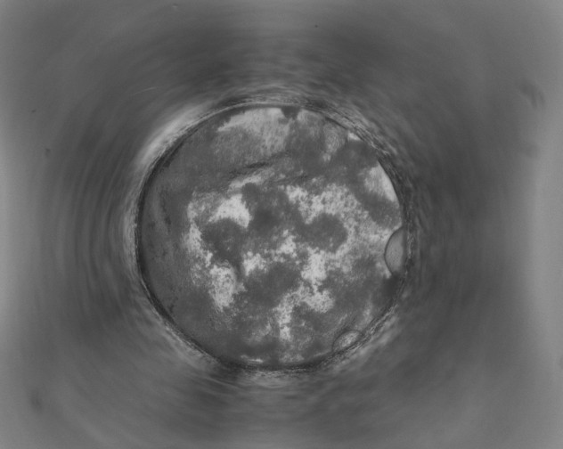 X0000112010341200908311138