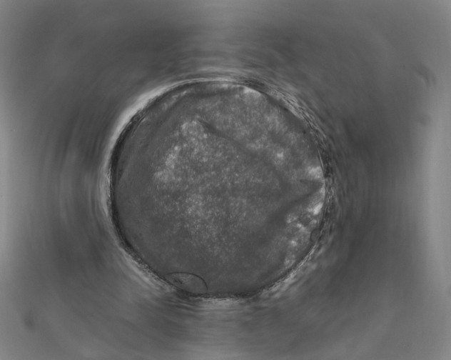 X0000112010342200908311138