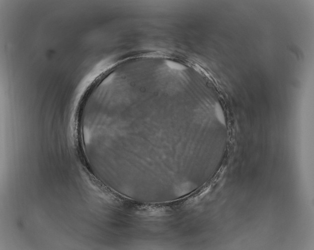 X0000112010343200908311138