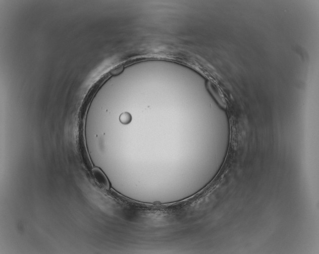 X0000112010344200908311138