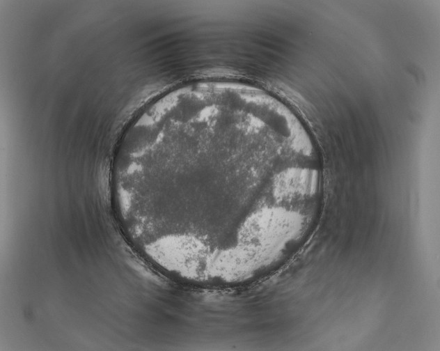 X0000112010345200908311138
