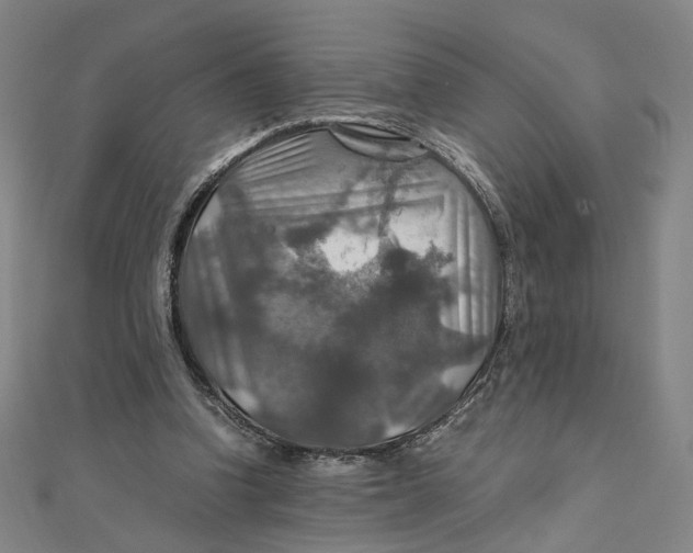 X0000112010346200908311138