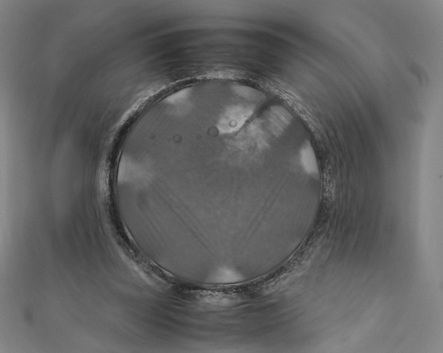 X0000112010347200908311138