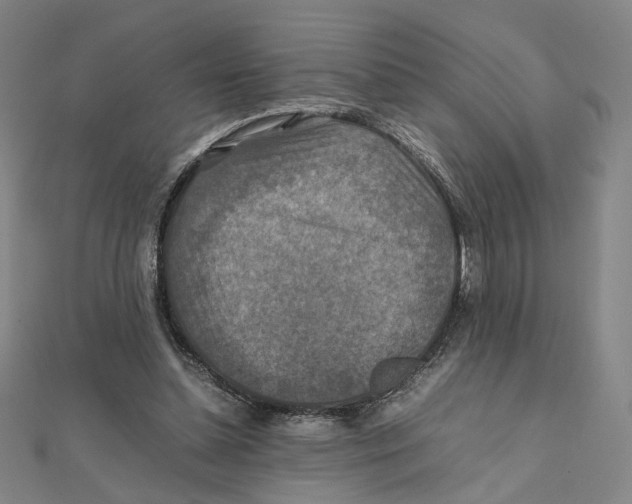 X0000112010348200908311139