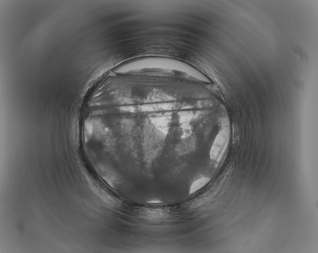 X0000112010349200908311139