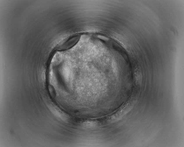 X0000112010350200908311139