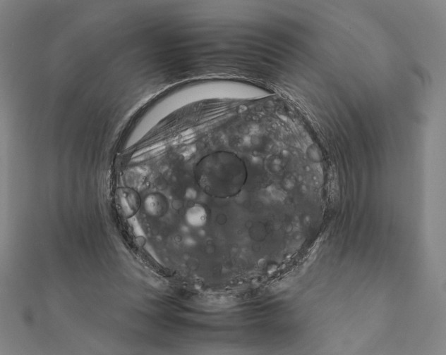 X0000112010351200908311139