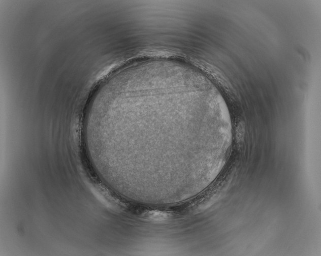X0000112010352200908311139