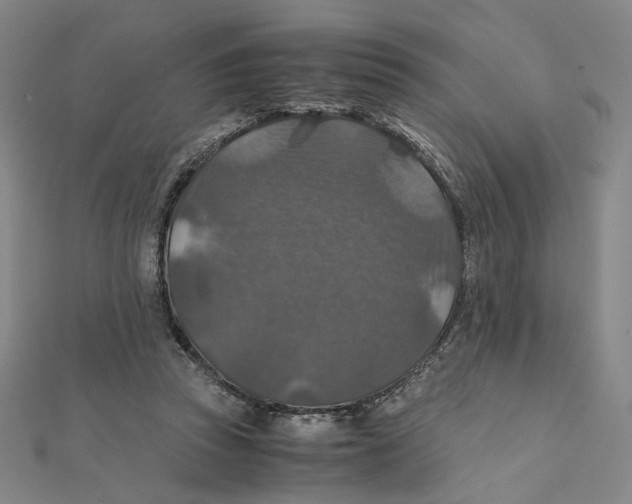 X0000112010353200908311139