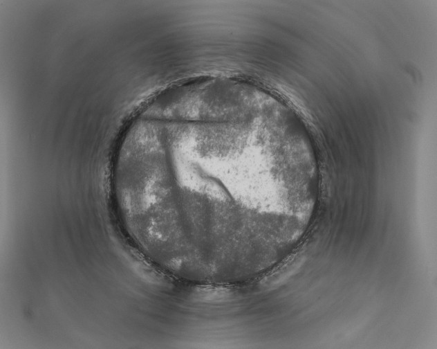 X0000112010354200908311139