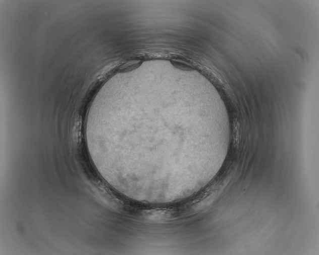 X0000112010356200908311139
