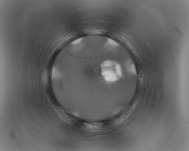 X0000112010359200908311139