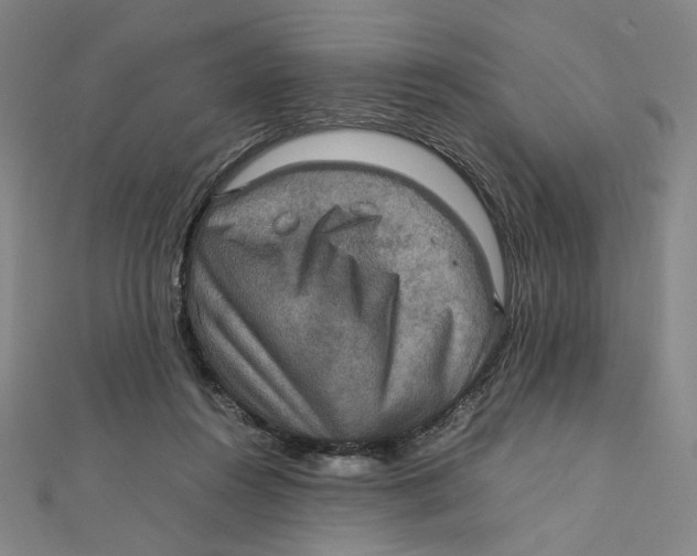 X0000112010360200908311139