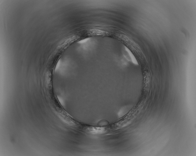X0000112010361200908311139